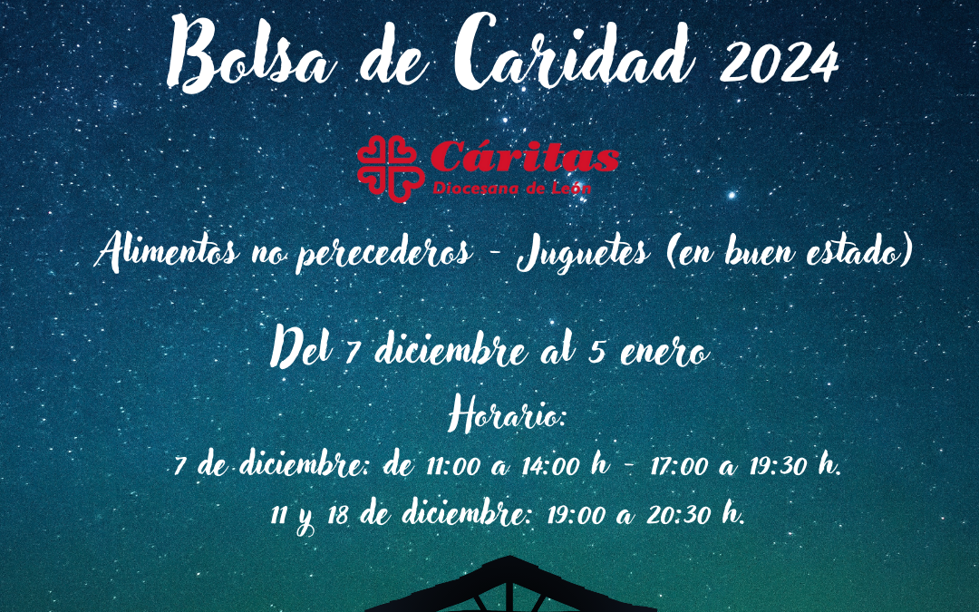 Bolsa de Caridad – Navidad 2024